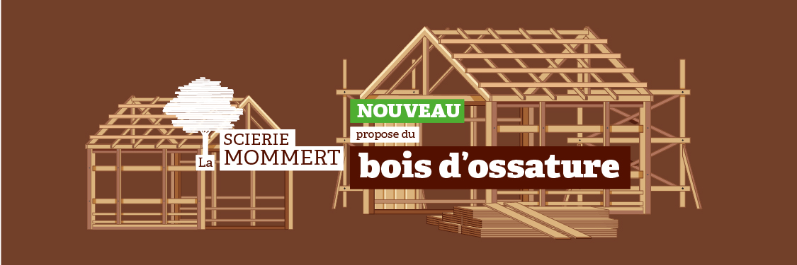 Nouveauté de la rentrée : le bois d’ossature